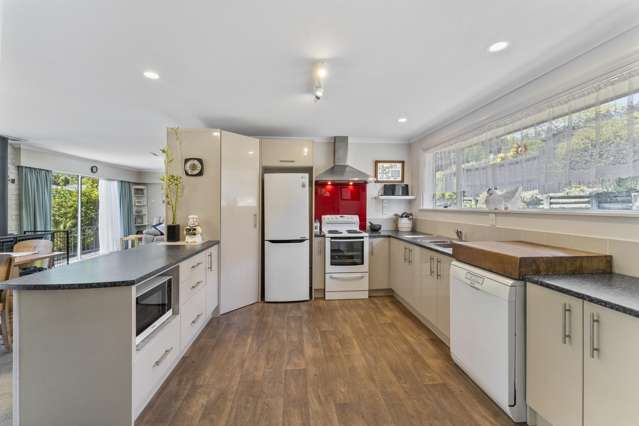 8 Scotia Street Wakatu_2