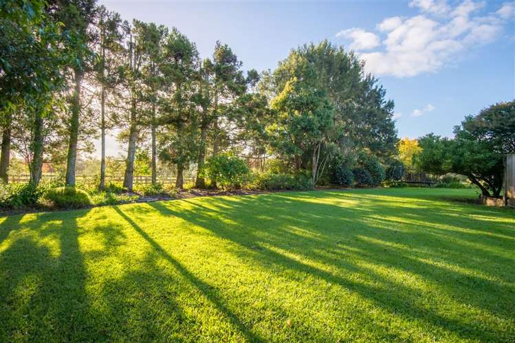 58 Glenmore Road Coatesville_19