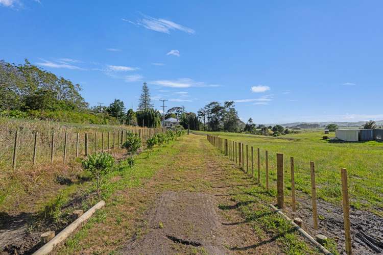 Mount Wesley Coast Road Dargaville_10