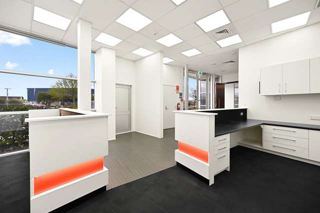 56 The Boulevard Te Rapa_4