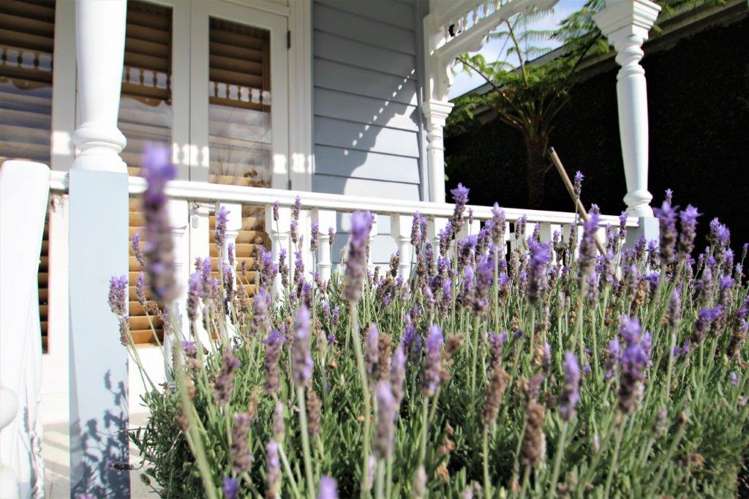 3 Dexter Avenue Mount Eden_16