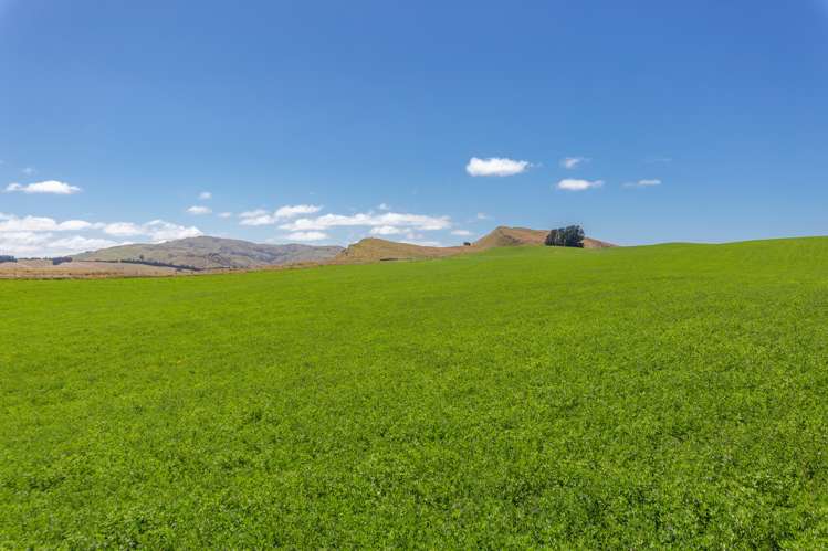 324 Reeces Road Waipara_7