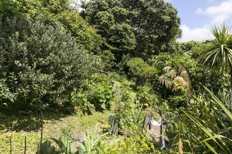 1c/20 Maarama Crescent Aro Valley_10