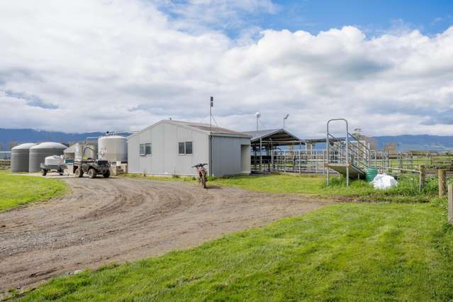 416 Wardville Road Matamata_2