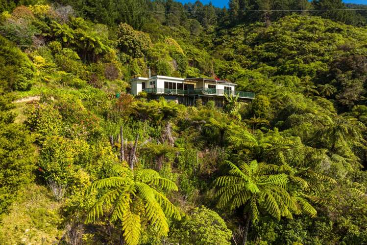 1 Black Point, Whatanihi Marlborough Sounds_8