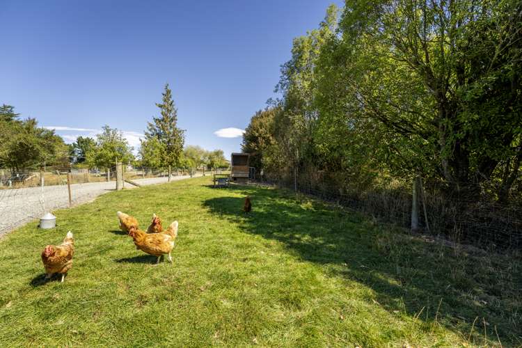 286 Downs Road Geraldine_28