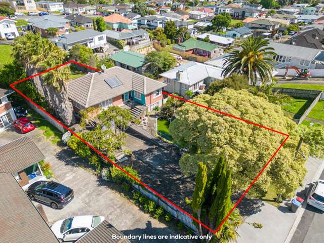 24 Subritzky Avenue Mount Roskill_2