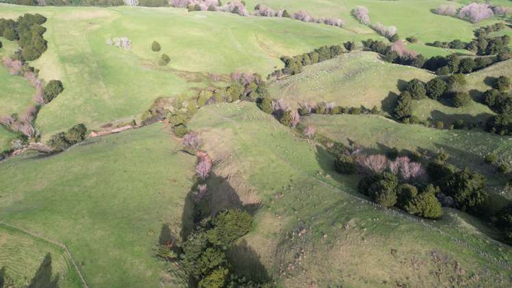 78 Otioro Road Topuni_6