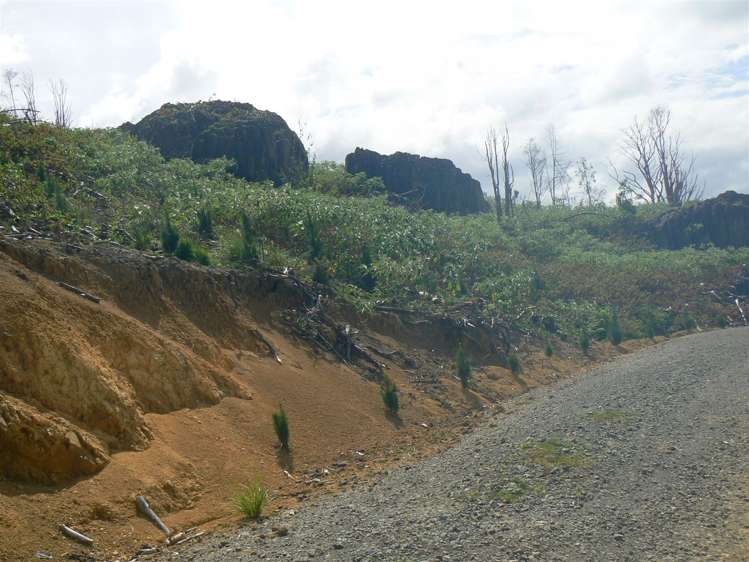 Taheke Road Horeke_16