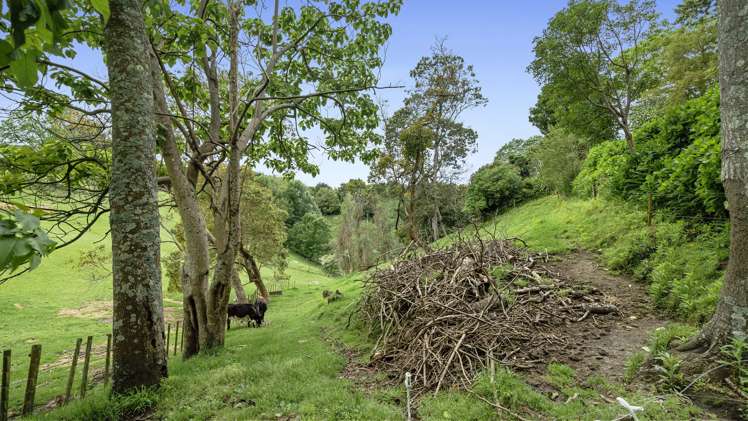 7 Furniss Lane Tauriko_30