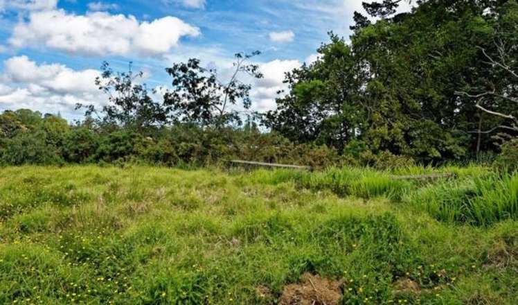 46 Queen Mary Avenue New Lynn_17