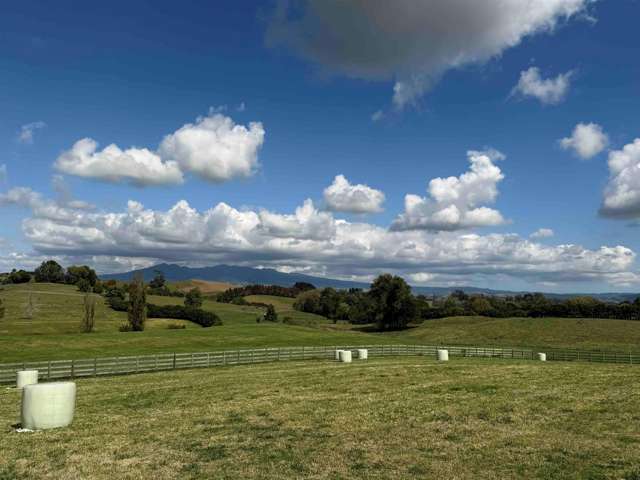 168 Gillard Road Ohaupo_2