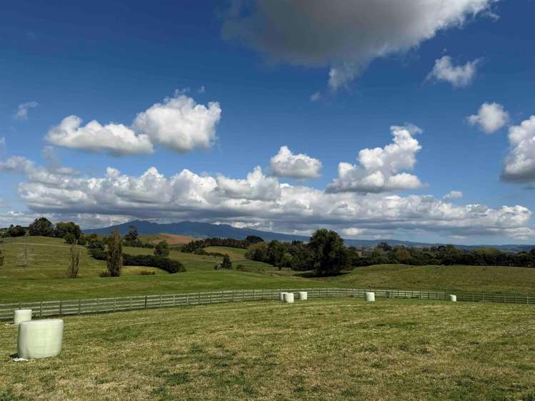 168 Gillard Road Ohaupo_2