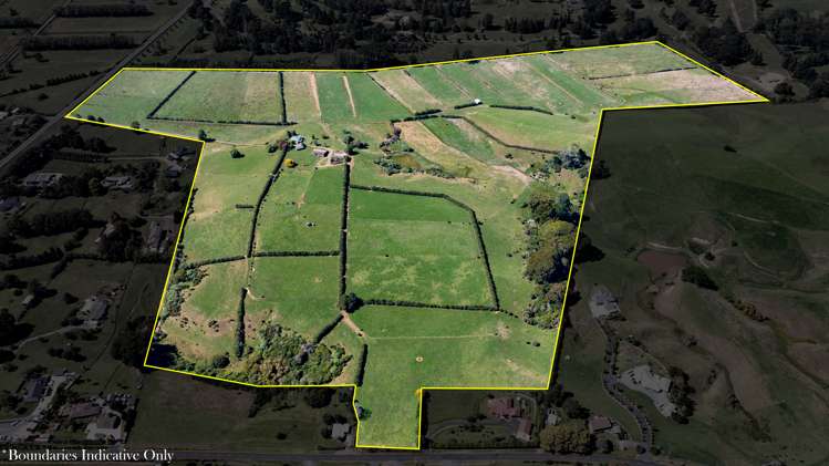 679 State Highway 23 Whatawhata_19