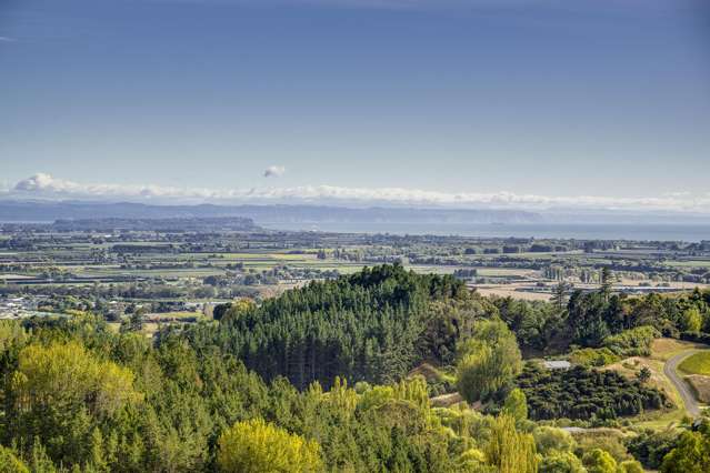 366 Durham Drive Havelock North_3