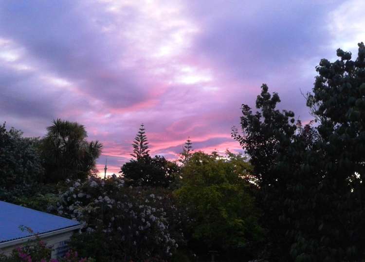 15 Cowper Street Devonport_6