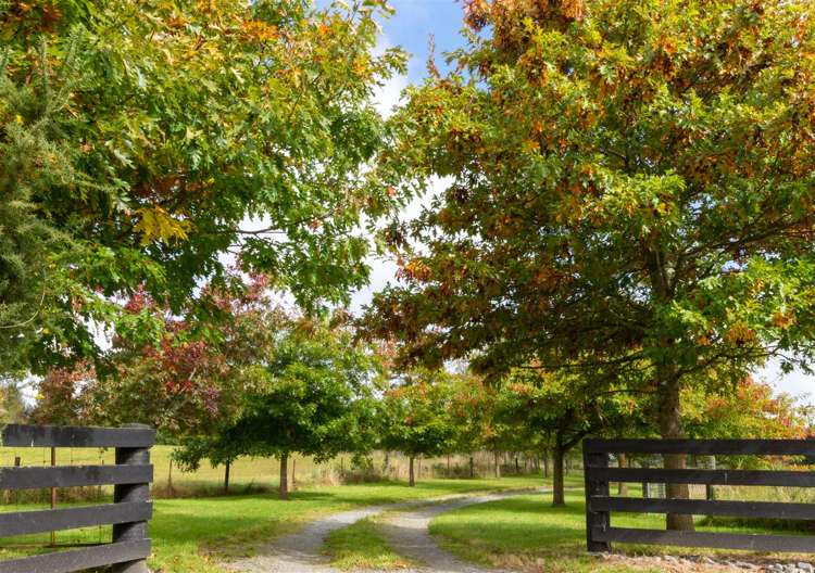 251 Summerhill Road Cust_24