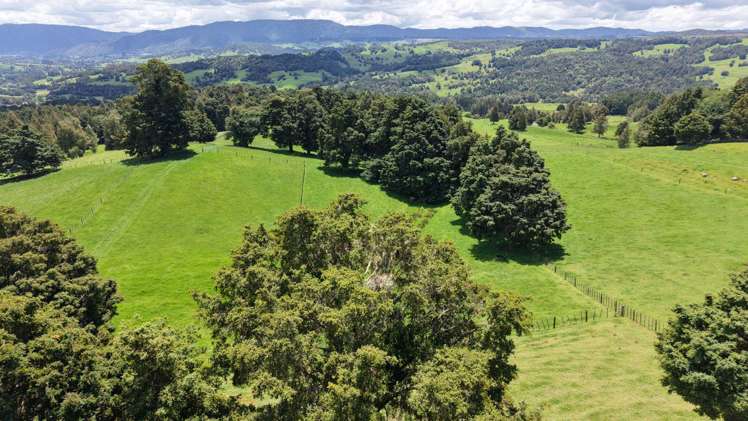 21 Waiare Road Okaihau_26