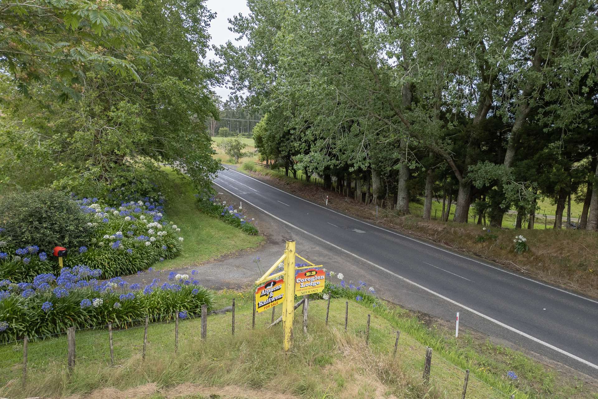 2221 SH25 Tairua-Whitianga Road Coroglen_0