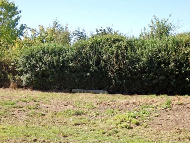 252b Talbot Street Geraldine_4