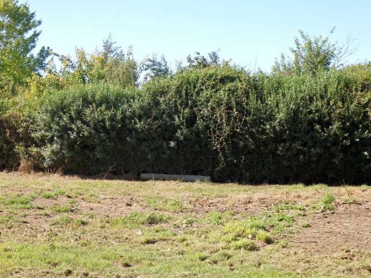 252b Talbot Street Geraldine_4