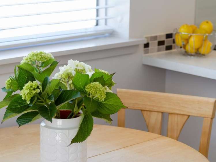 54/70 Hobson Street Thorndon_9