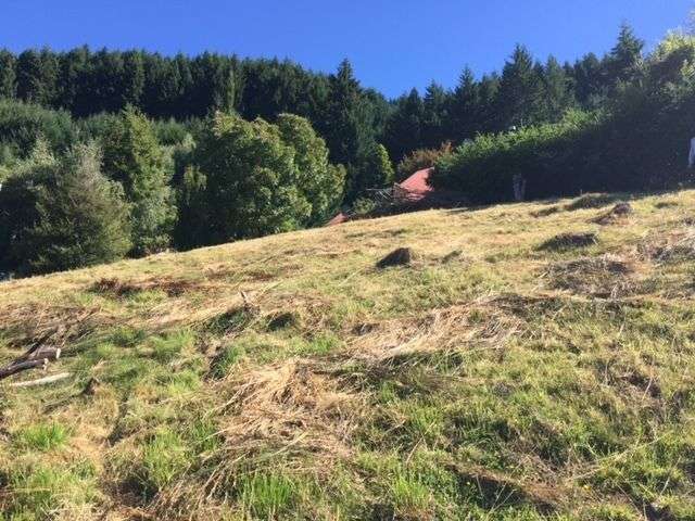 11 Lochy Road Fernhill/Sunshine Bay_3