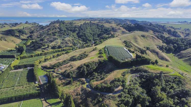 443C State Highway 2 Opotiki_16