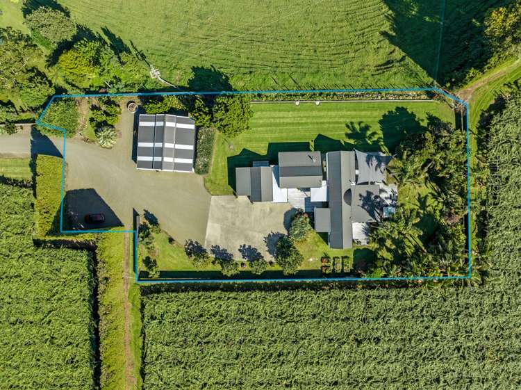 304 Tablelands Road Opotiki_33