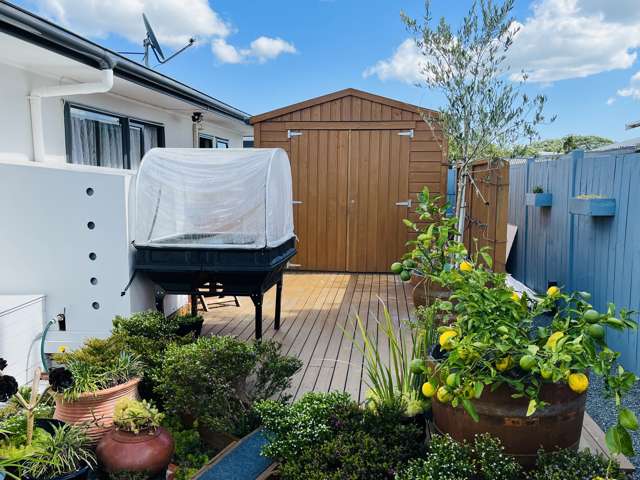 59A Logan Street Dargaville_1