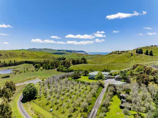 52 Waipuka Road Waimarama_2