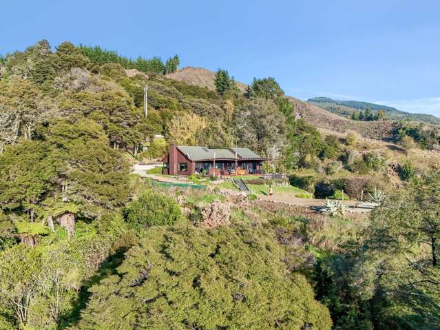 UNREAL Views, Privacy and Spacious Family Home!