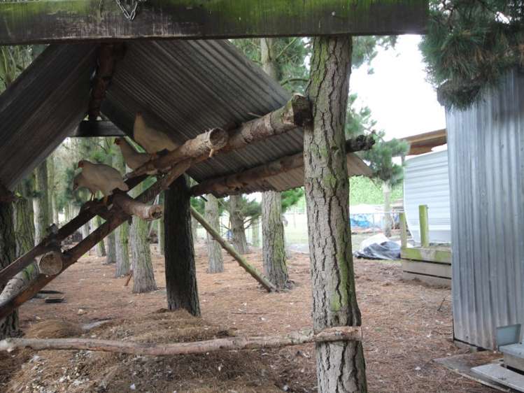 160 Dawsons Road Ohoka_22