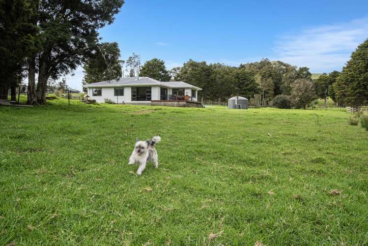 27 Hodge Road Ruatangata West_20