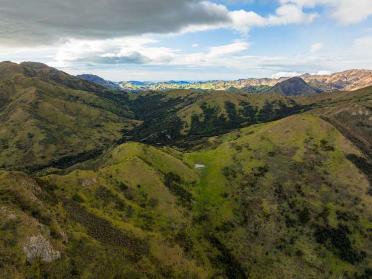 220 Ballochdale Road Seddon_9