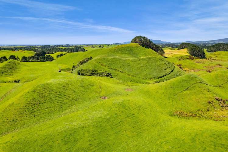 507/537 Parihaka Road Pungarehu_13