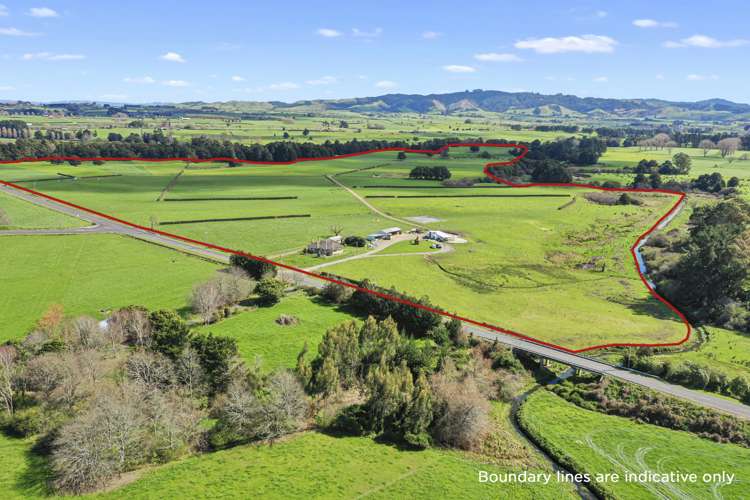 711 Horrell Road Morrinsville_1
