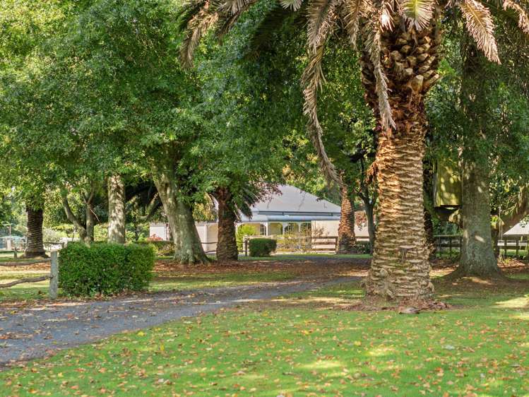 10 Oakshott Road Ngahinapouri_20