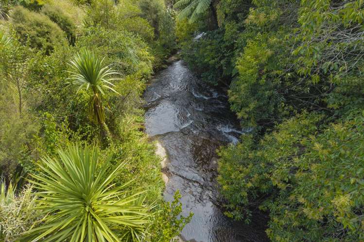 165 Adler Drive Ohauiti_7