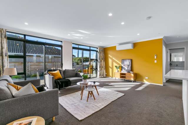 23 Maire Street Levin_3