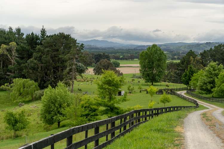 117 Lees Pakaraka Road Masterton_2