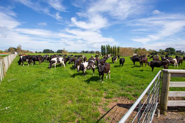 219 State Highway 3 Westmere_15