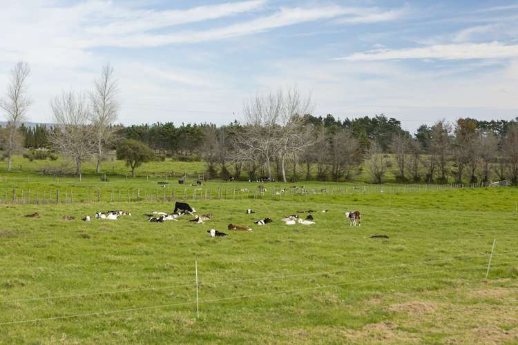 782 Gill Road Kaitaia_12