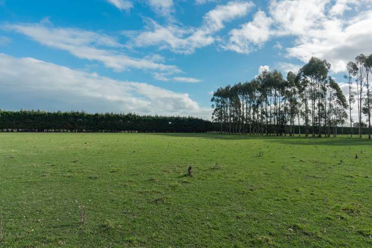 10 Mount Thomas Road Fernside_9