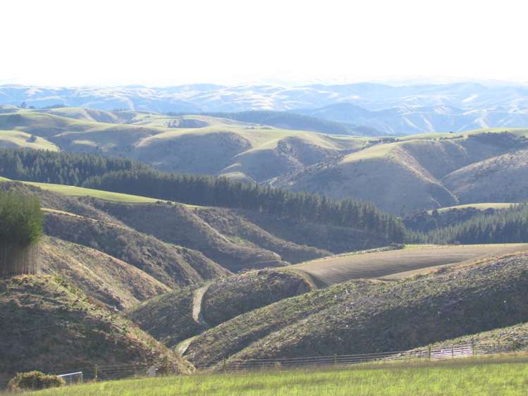 168 Remarkable Road Lawrence_14