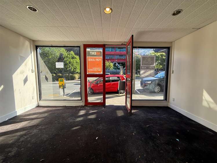 138 Vivian Street Te Aro_6