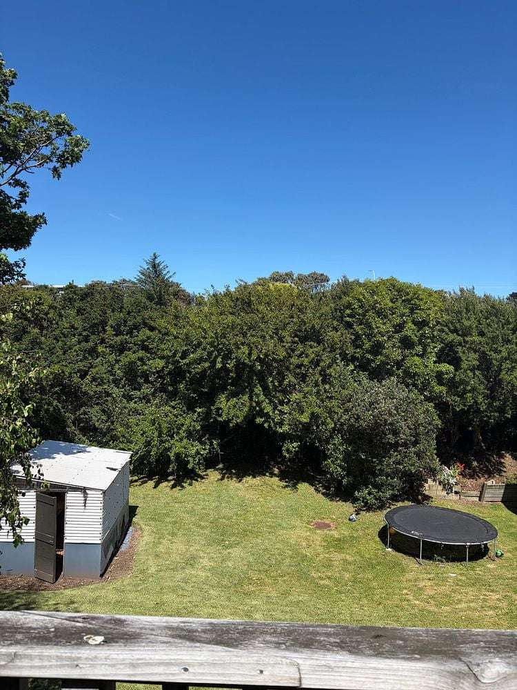 101 Alexander Road Raumati Beach_0