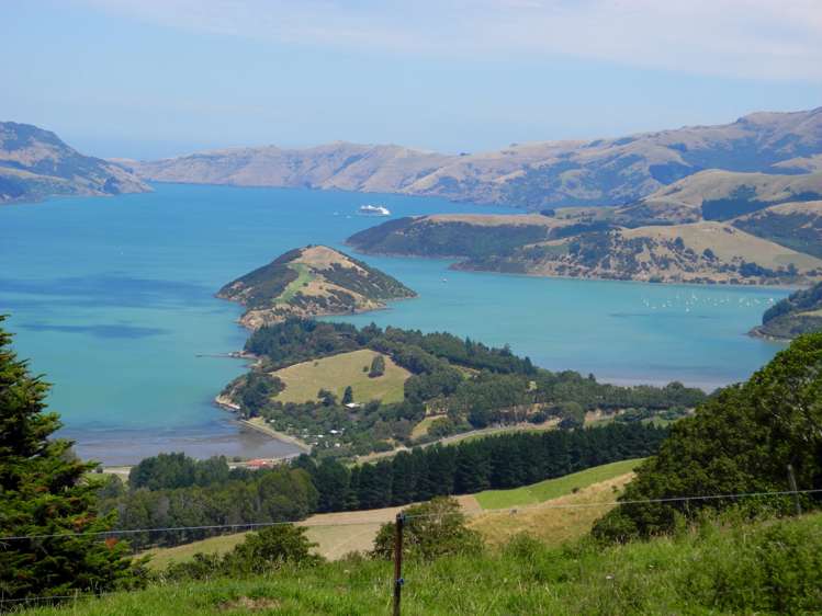 328 Pigeon Bay Road Pigeon Bay_0