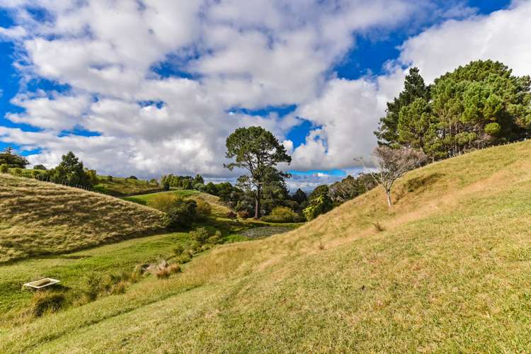 15 Brookdale Road Paremoremo_16