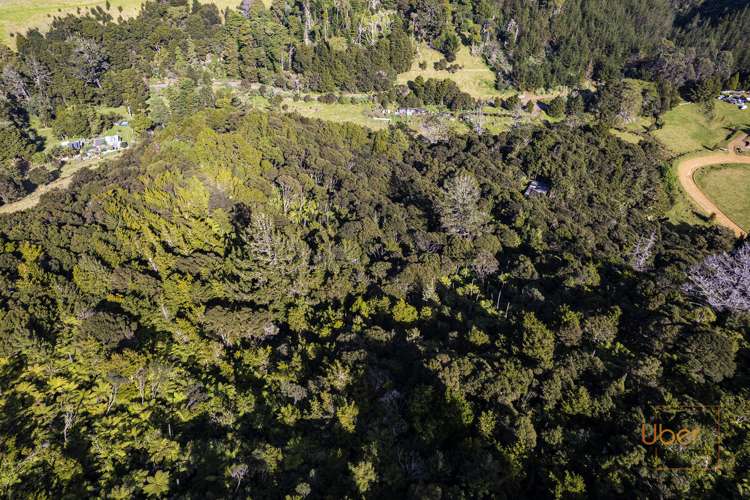 74 Waiparera Road Parua Bay_26